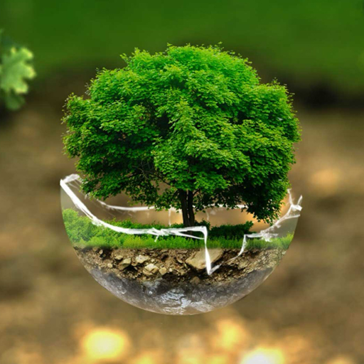 ¿Por qué 2025 será un año decisivo para la acción climática?
