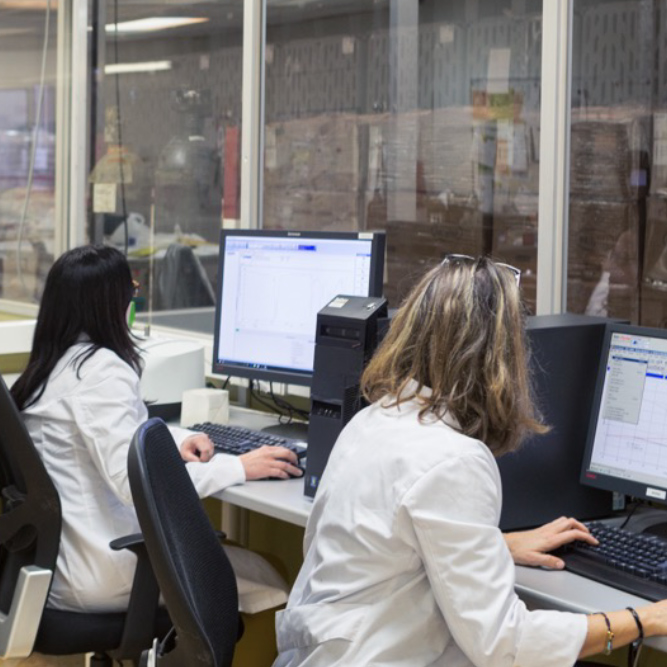 Apostamos por el conocimiento: formaciones internas para crecer juntos