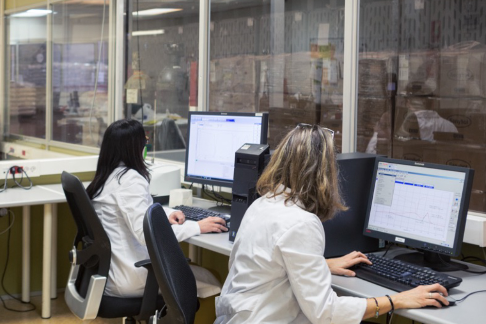 Apostamos por el conocimiento: formaciones internas para crecer juntos