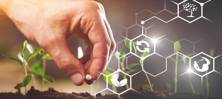 SANYHOT ADHESIVOS, S.A., comprometidos con la Agenda 2030 y el cumplimiento de los ODS