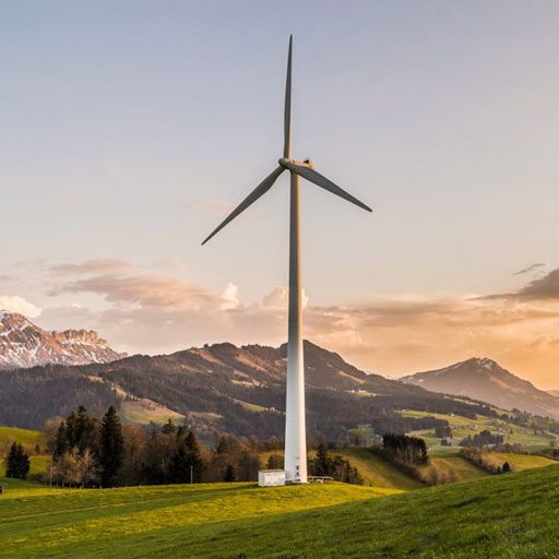 Día Internacional de la Reducción del CO2: Un Compromiso Global para un Futuro Sostenible