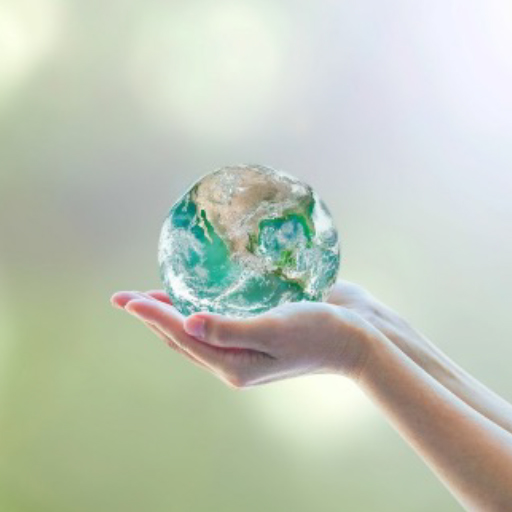 Día mundial de la educación ambiental