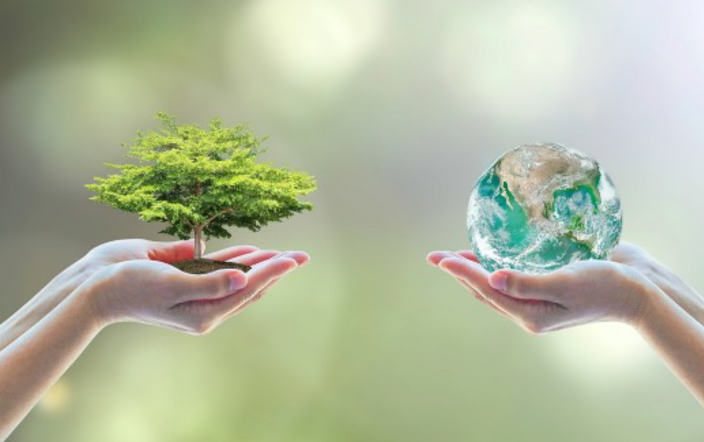 Día mundial de la educación ambiental