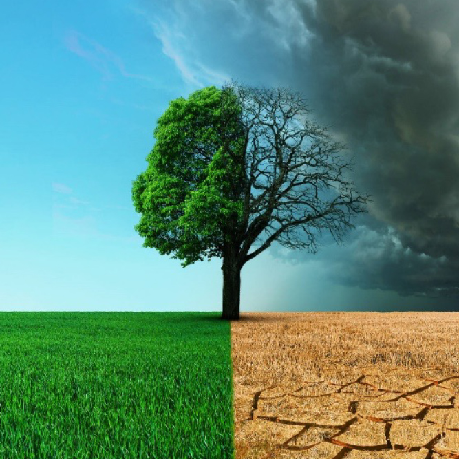 El cambio climático: una amenaza global real