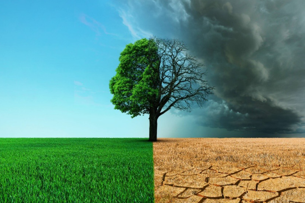 El cambio climático: una amenaza global real