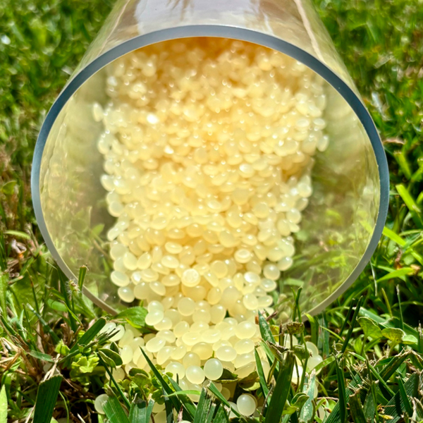 En Sanyhot, avanzamos hacia un futuro más sostenible