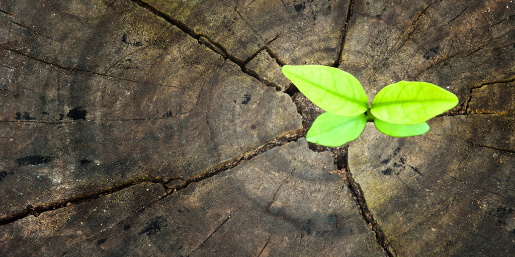 La economía circular, una apuesta de futuro