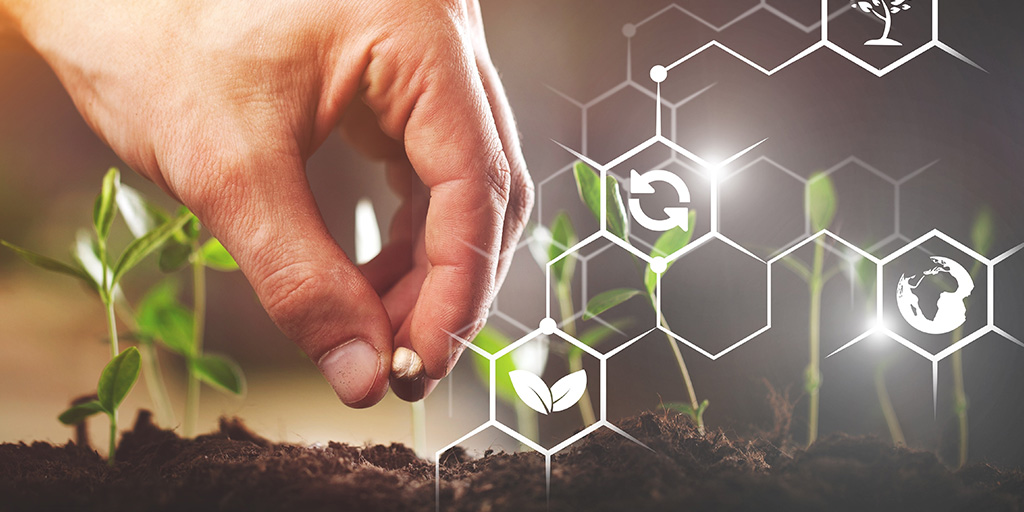 La economía circular, una apuesta de futuro