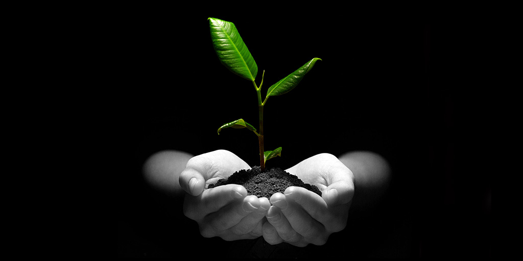 La economía circular, una apuesta de futuro