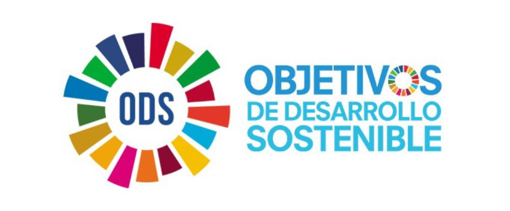 Objetivos 2025 cumplidos: innovación, sostenibilidad y calidad como motor de todo lo que hacemos