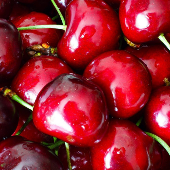 Sanyhot y Fulltrading estarán presentes en Global Cherry Summit 2026